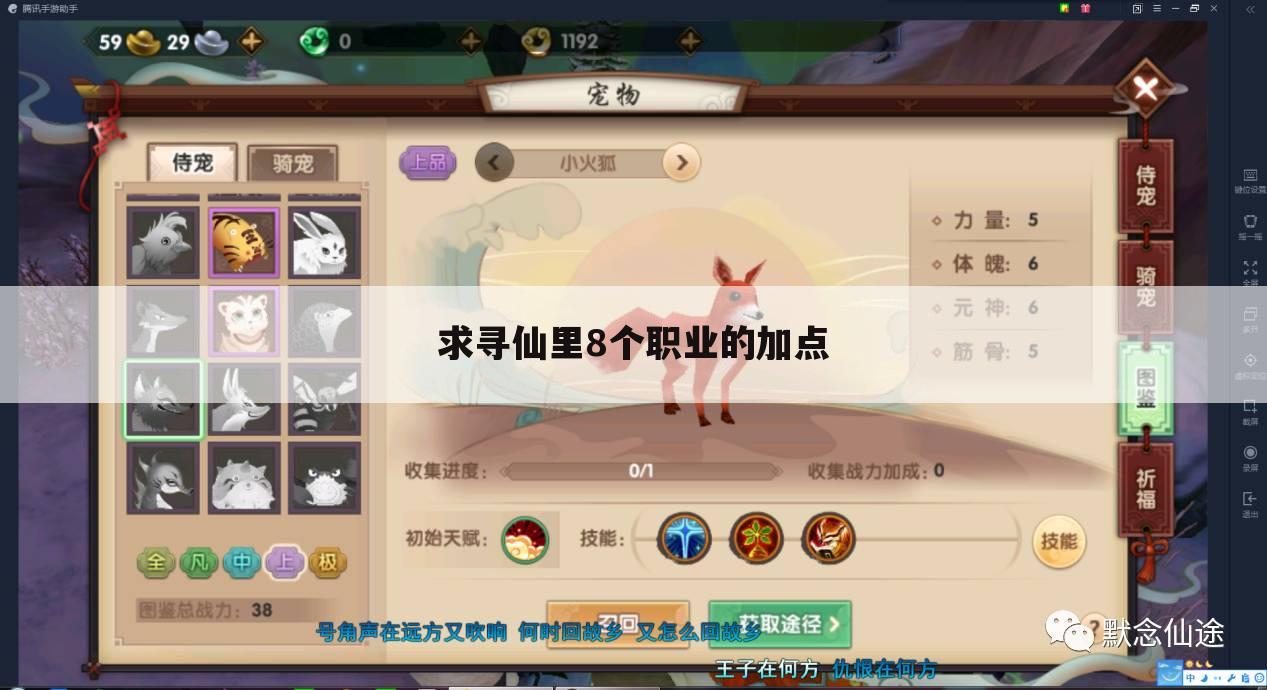 求寻仙里8个职业的加点