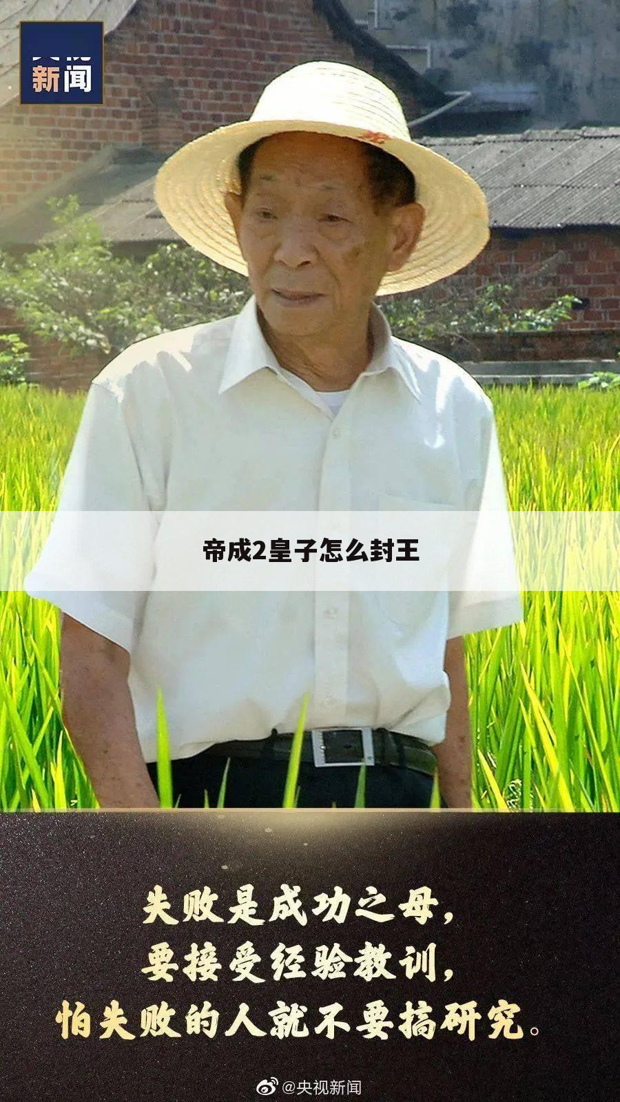 帝成2皇子怎么封王
