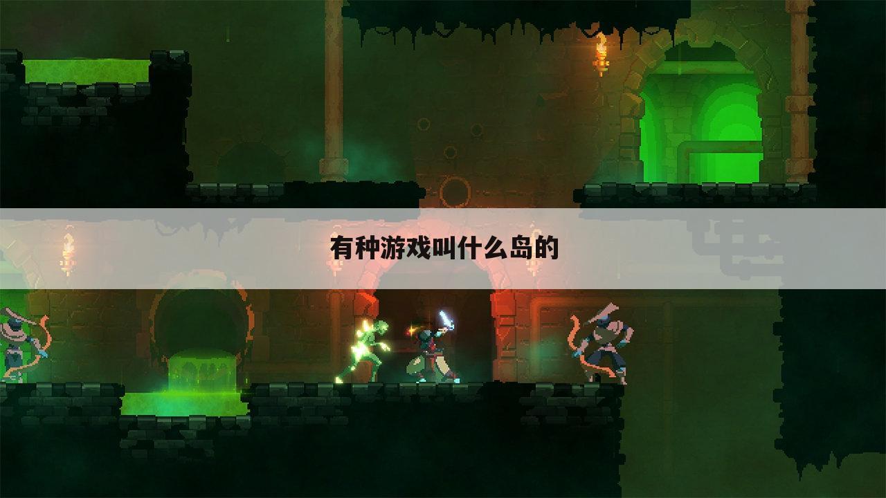 有种游戏叫什么岛的