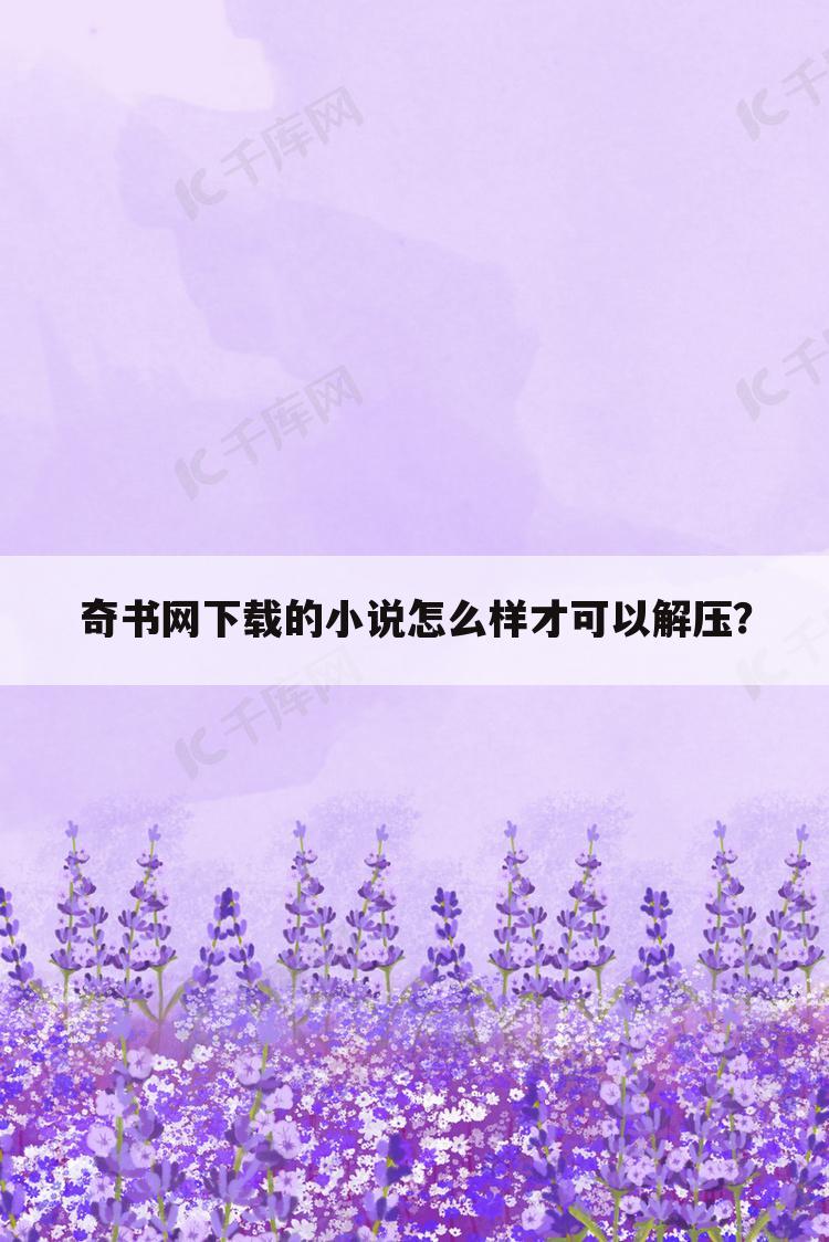 奇书网下载的小说怎么样才可以解压？