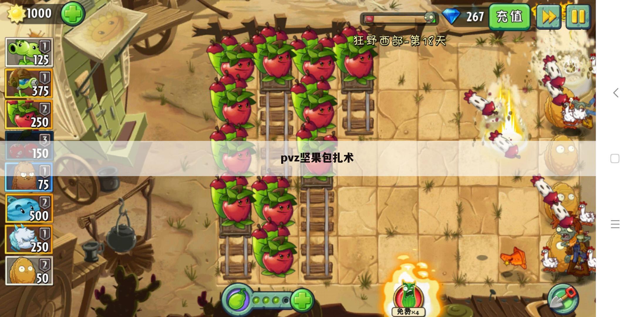 pvz坚果包扎术