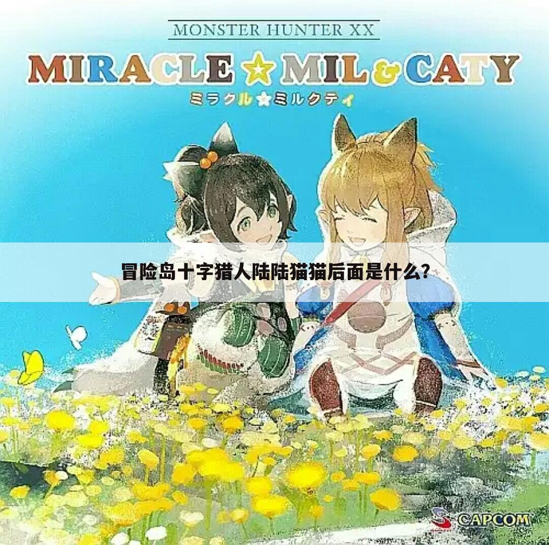 冒险岛十字猎人陆陆猫猫后面是什么？
