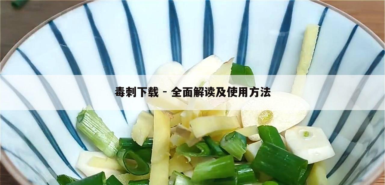 毒刺下载 - 全面解读及使用方法