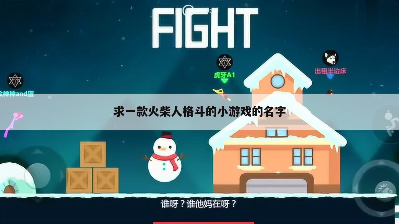 求一款火柴人格斗的小游戏的名字