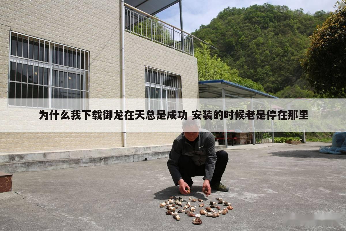 为什么我下载御龙在天总是成功 安装的时候老是停在那里
