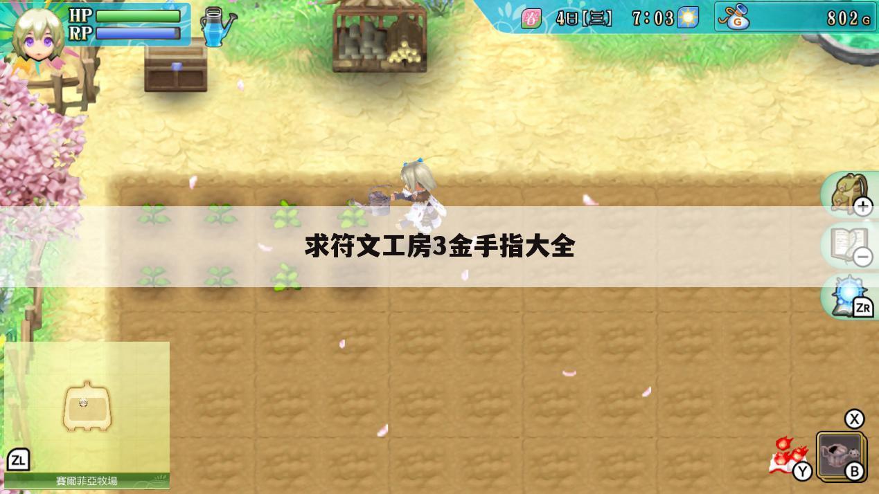 求符文工房3金手指大全