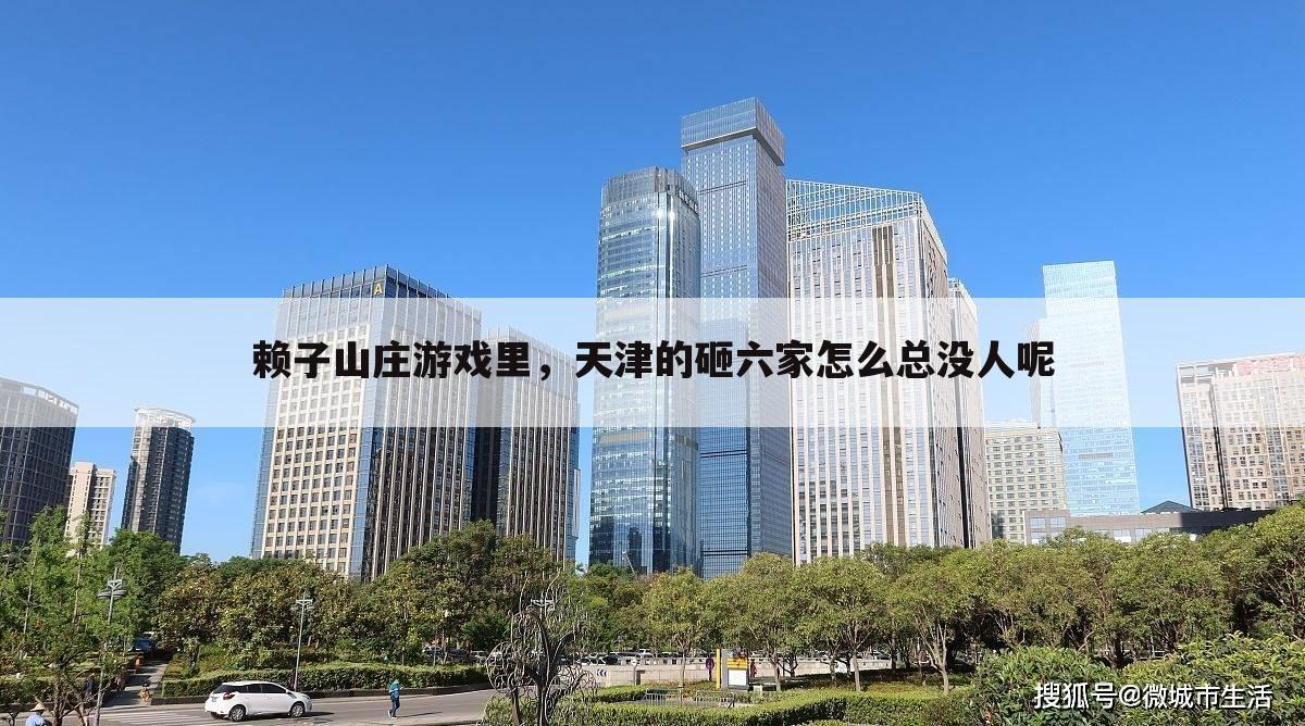 赖子山庄游戏里，天津的砸六家怎么总没人呢