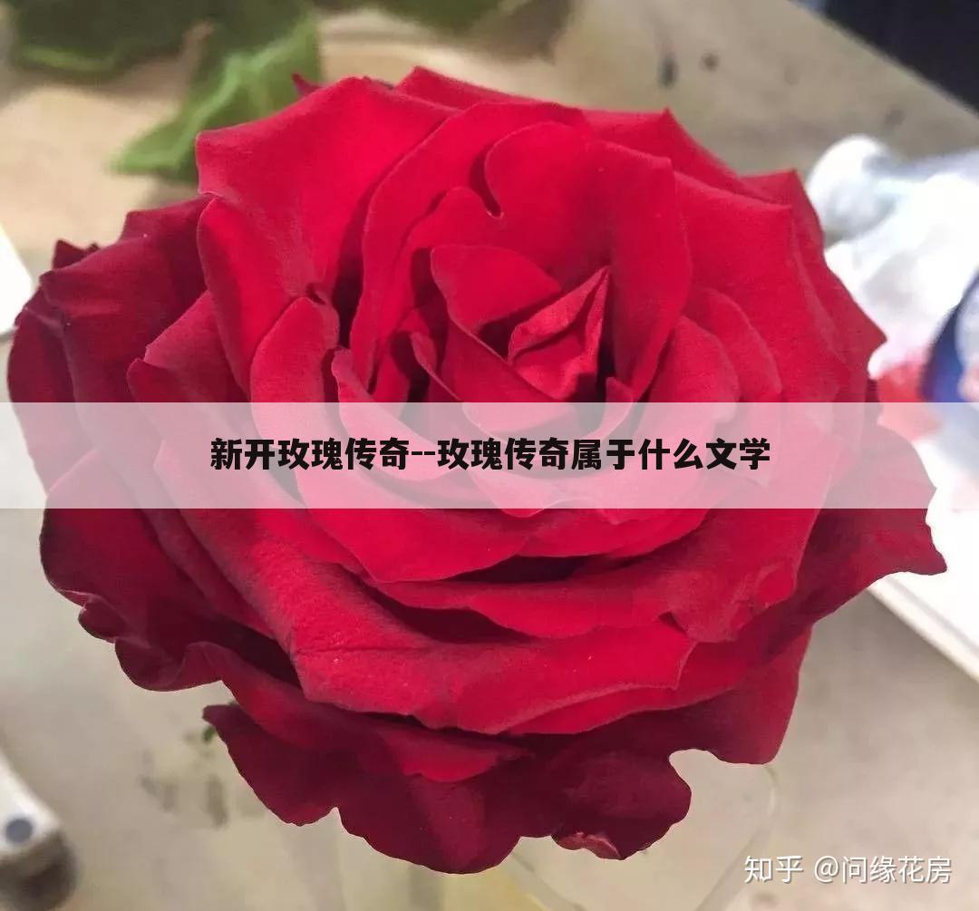 新开玫瑰传奇--玫瑰传奇属于什么文学