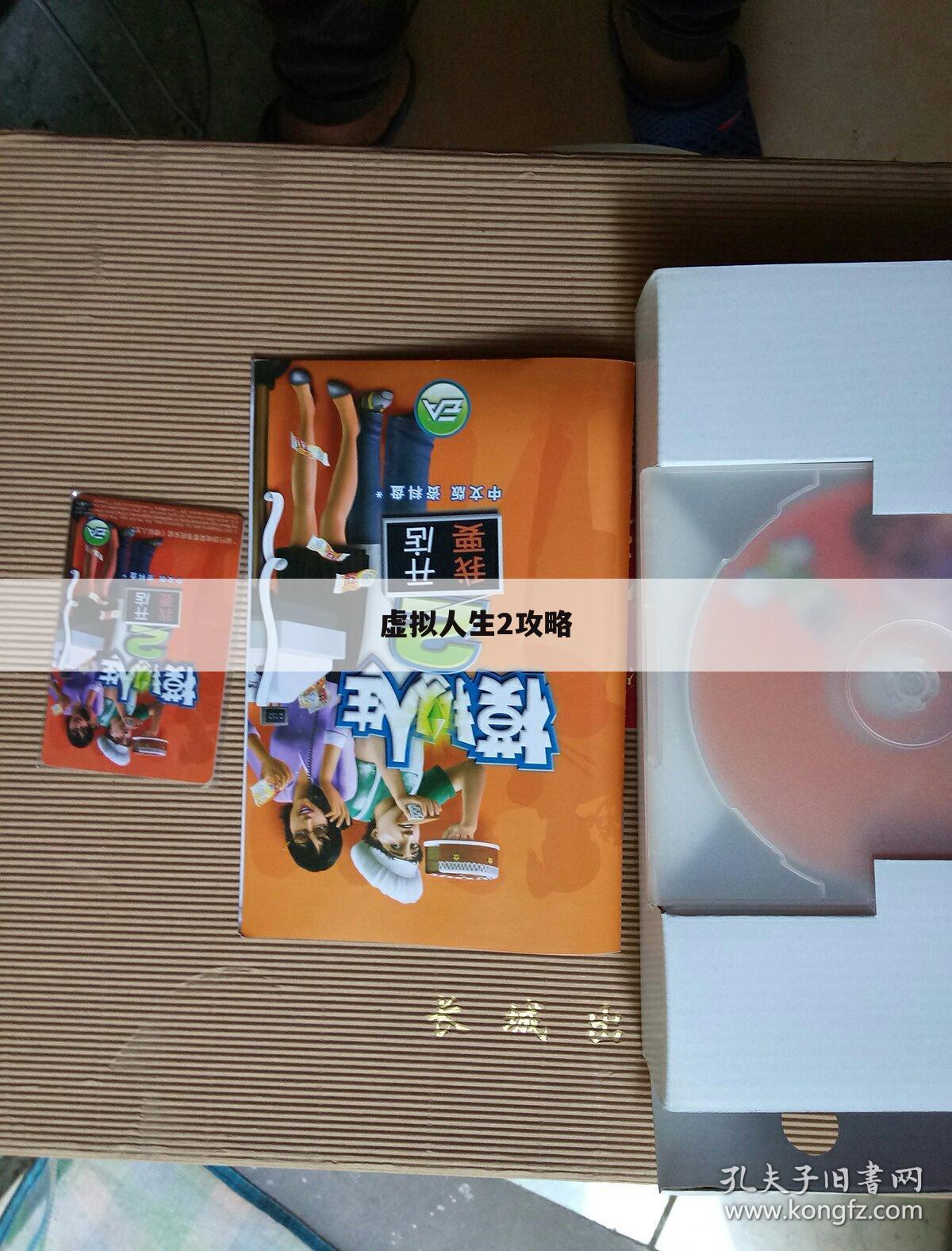 虚拟人生2攻略