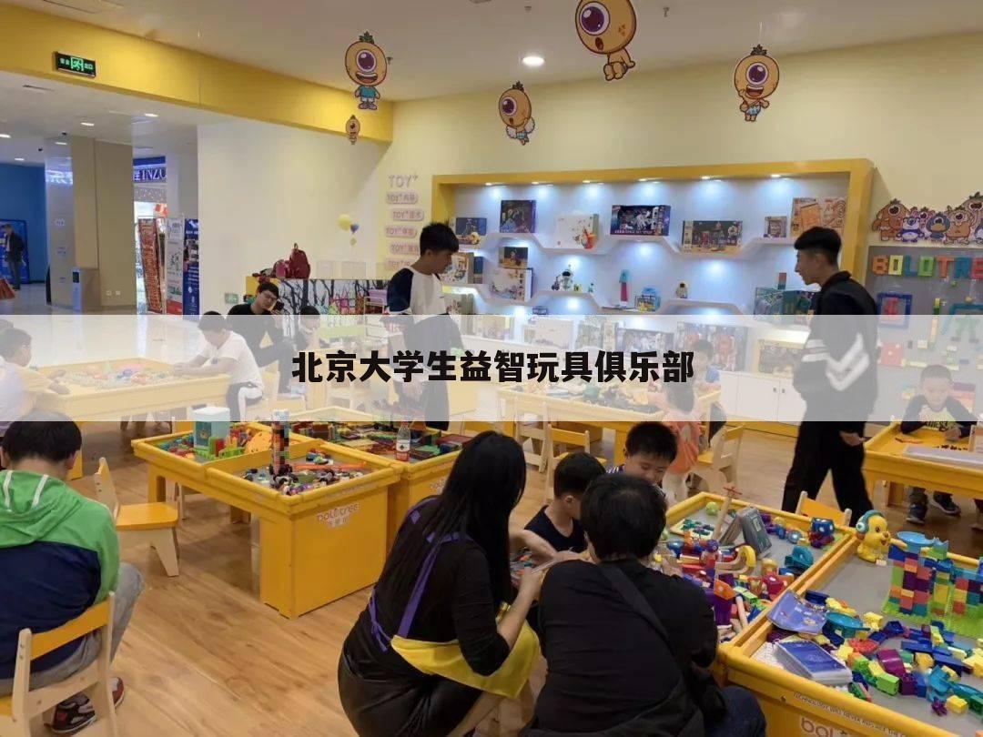 北京大学生益智玩具俱乐部
