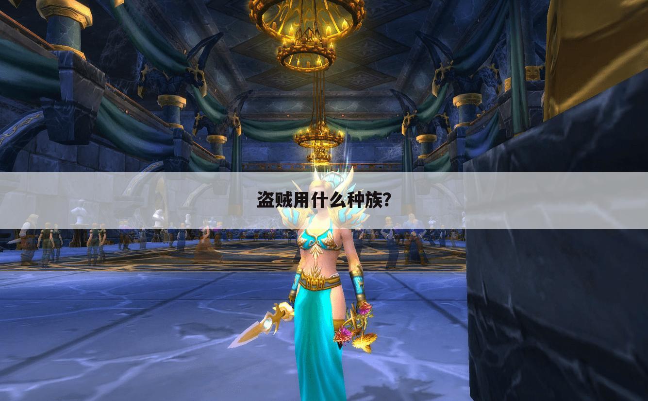 盗贼用什么种族？