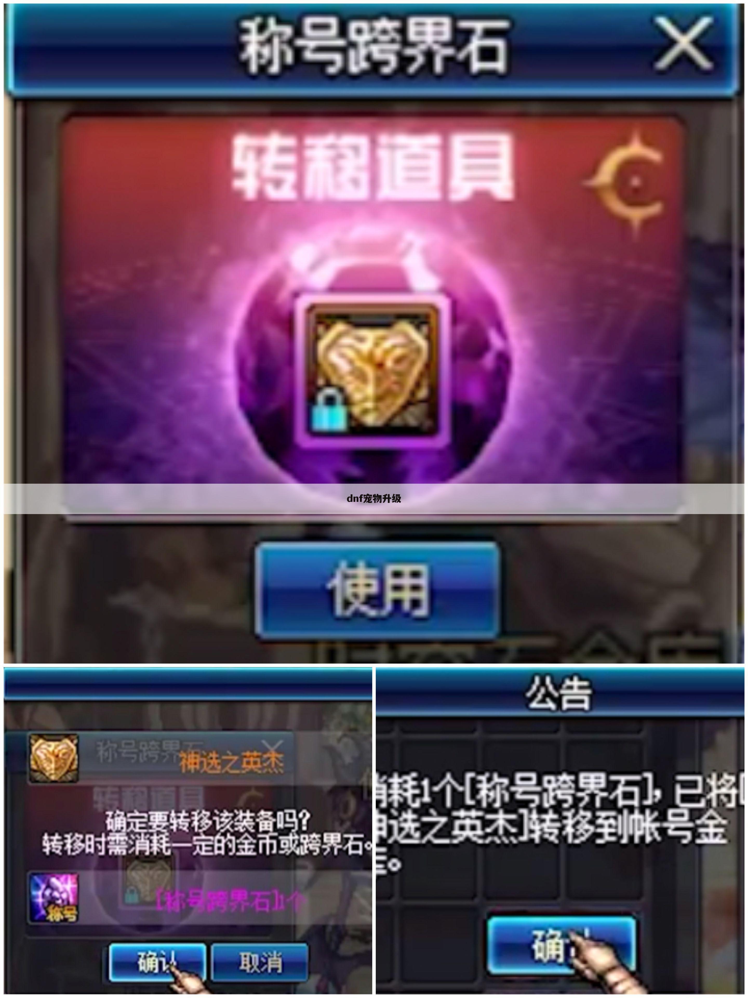 dnf宠物升级