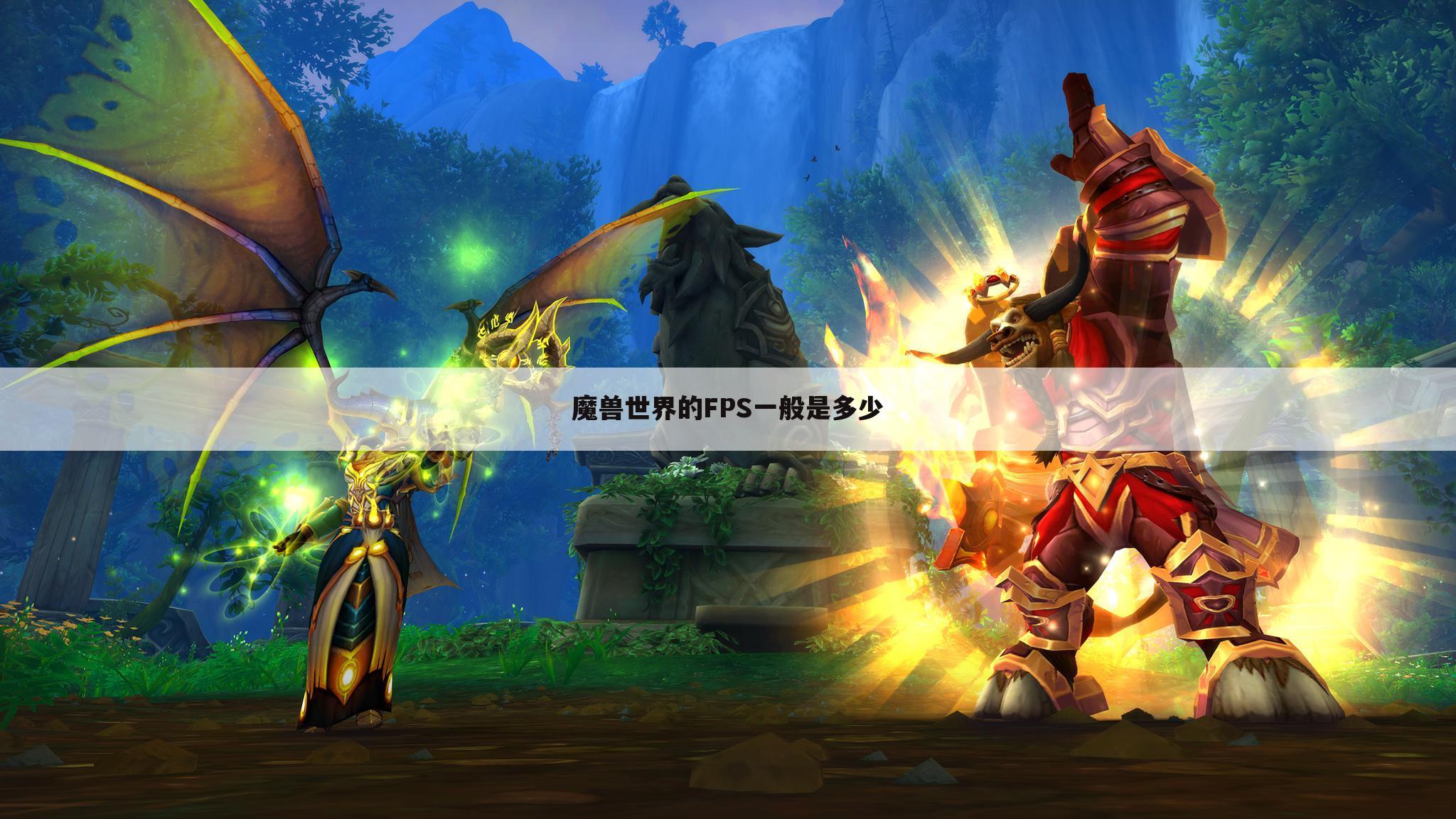魔兽世界的FPS一般是多少
