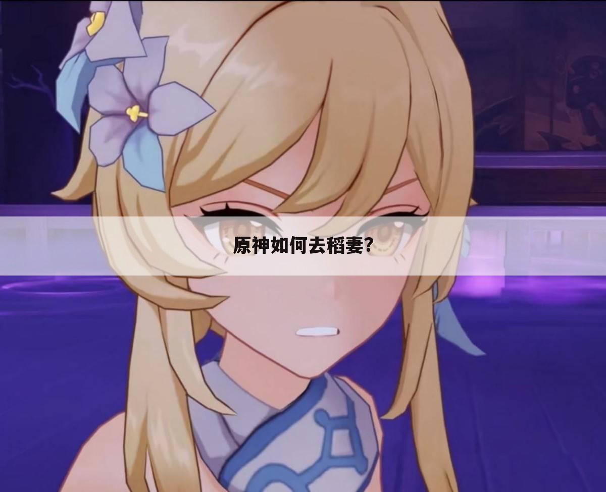 原神如何去稻妻?