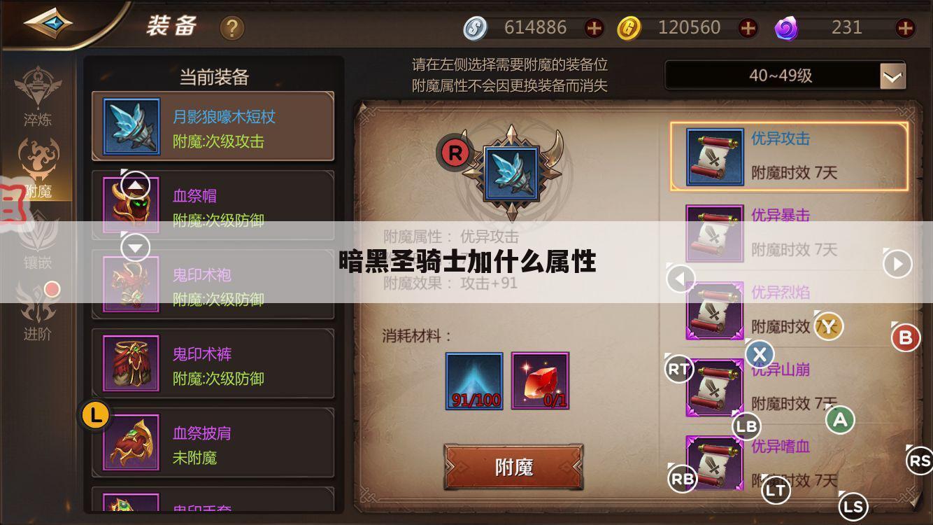 暗黑圣骑士加什么属性