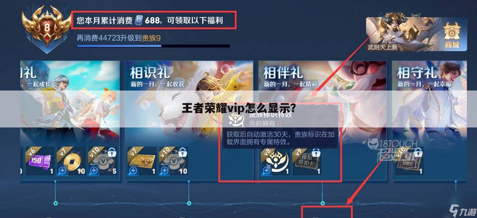 王者荣耀vip怎么显示？