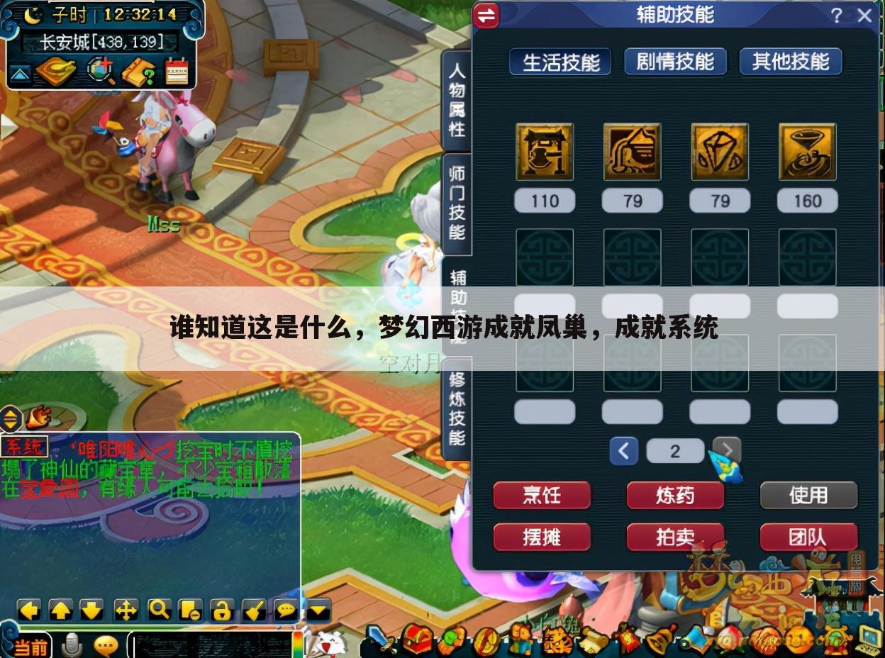 谁知道这是什么，梦幻西游成就凤巢，成就系统