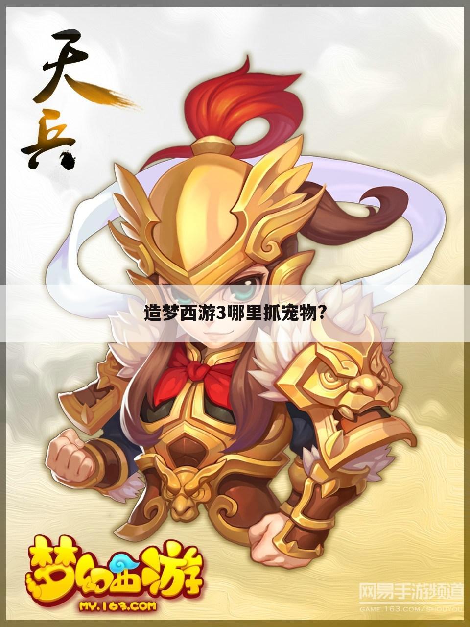 造梦西游3哪里抓宠物?