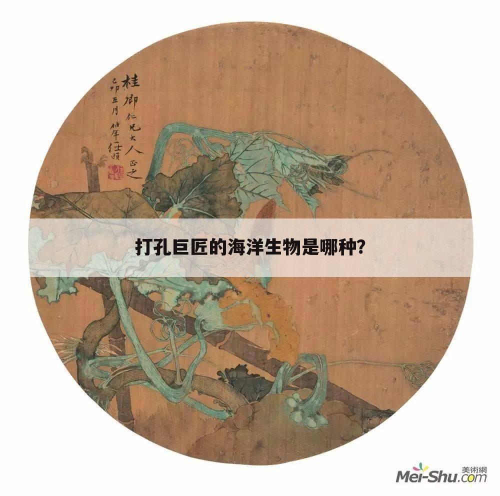 打孔巨匠的海洋生物是哪种？