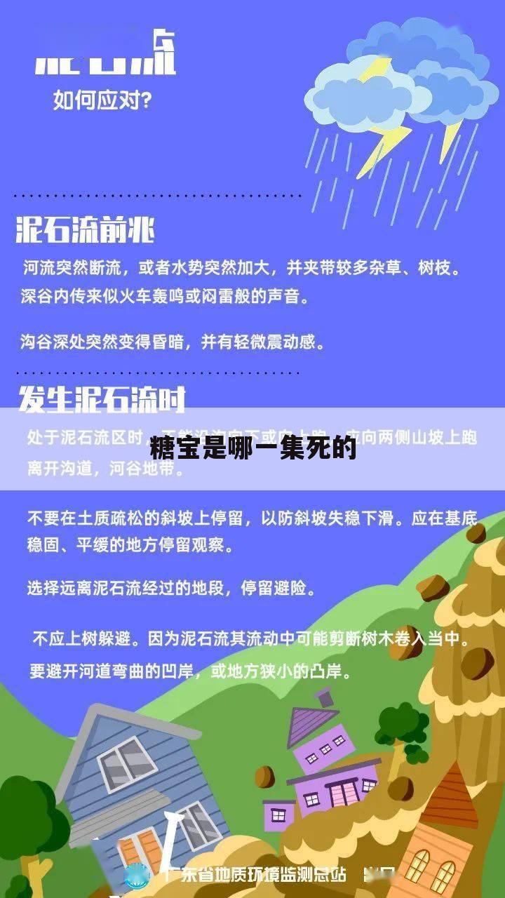 糖宝是哪一集死的