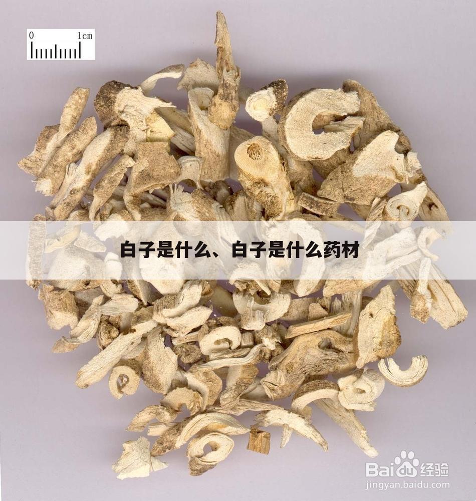 白子是什么、白子是什么药材