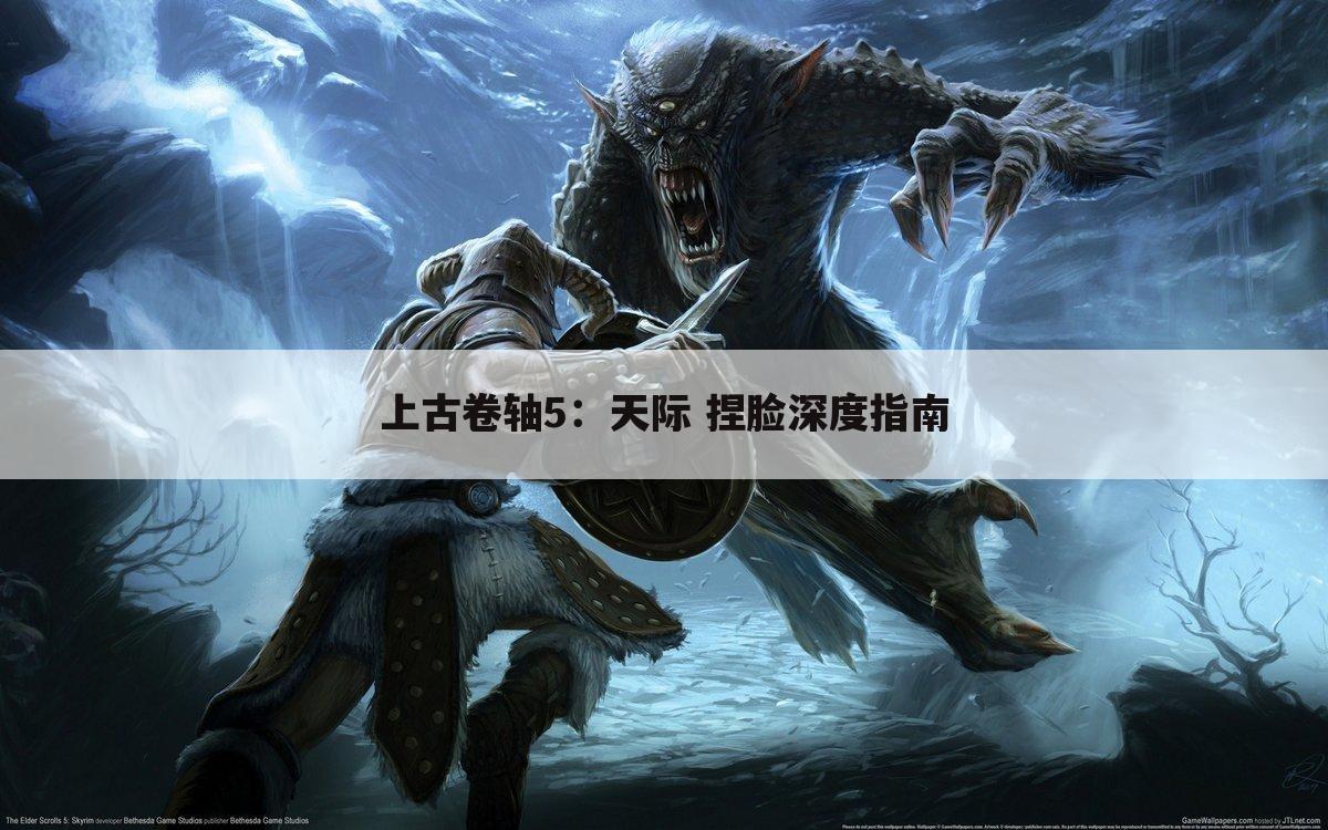 上古卷轴5：天际 捏脸深度指南