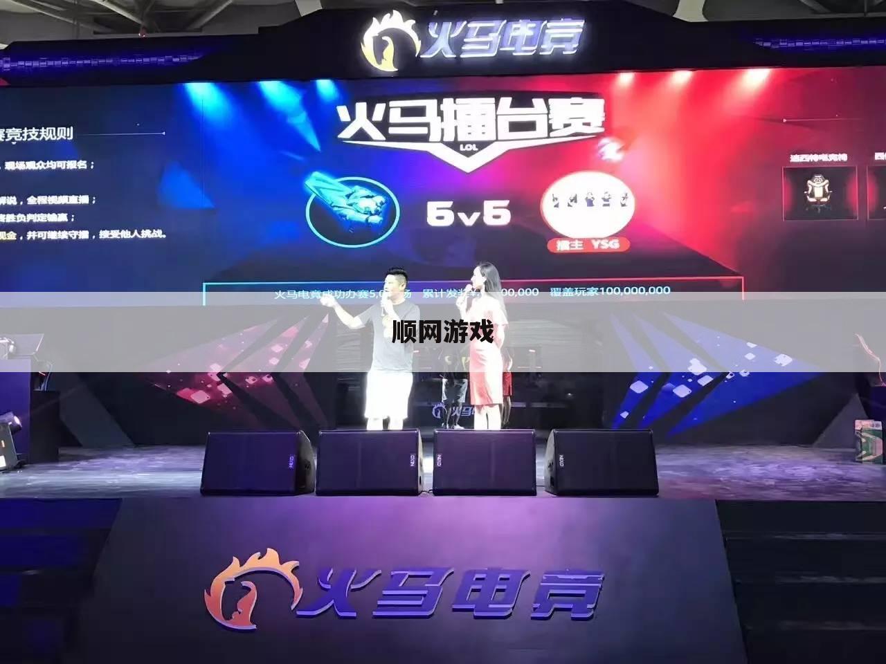 顺网游戏