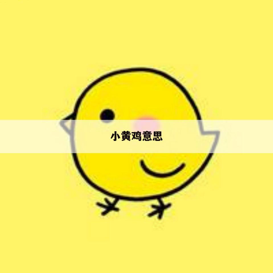 小黄鸡意思