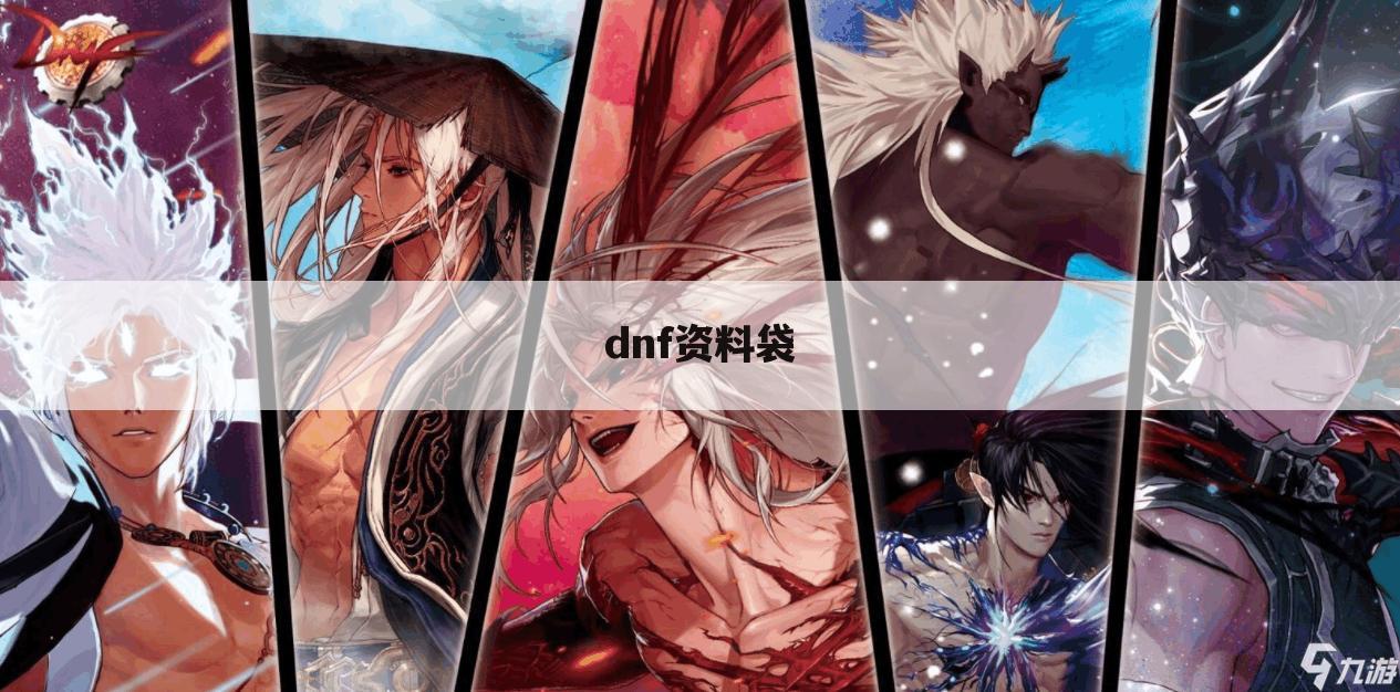 dnf资料袋