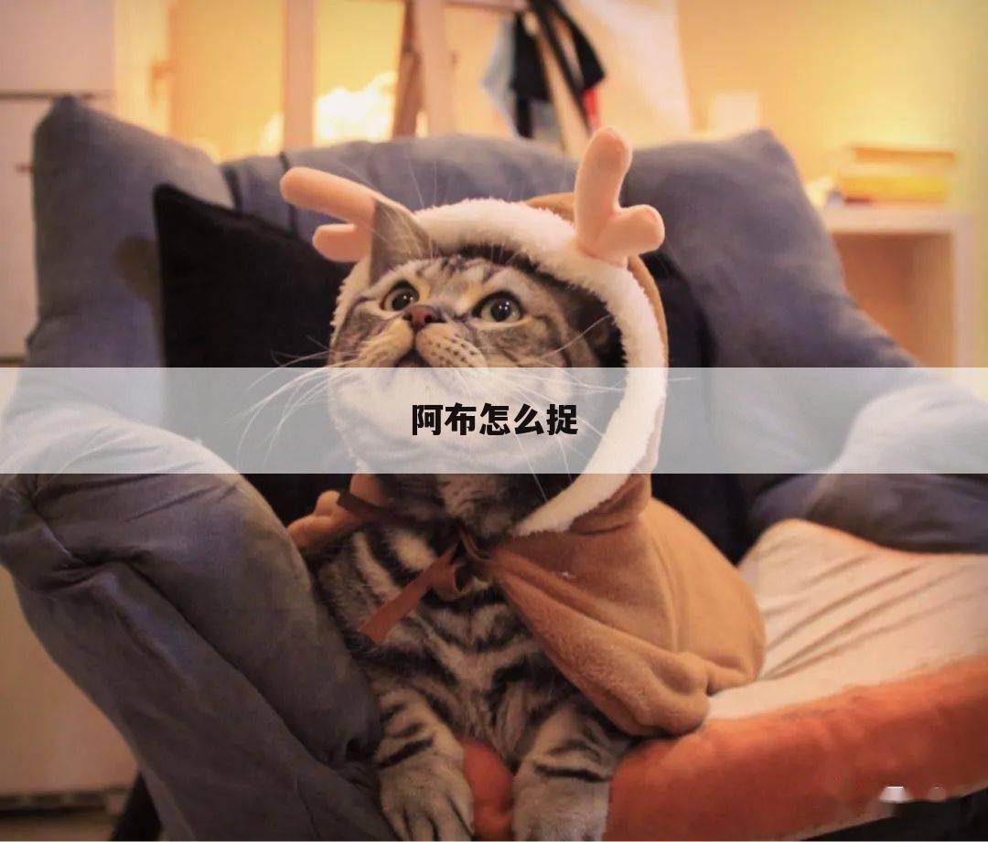 阿布怎么捉