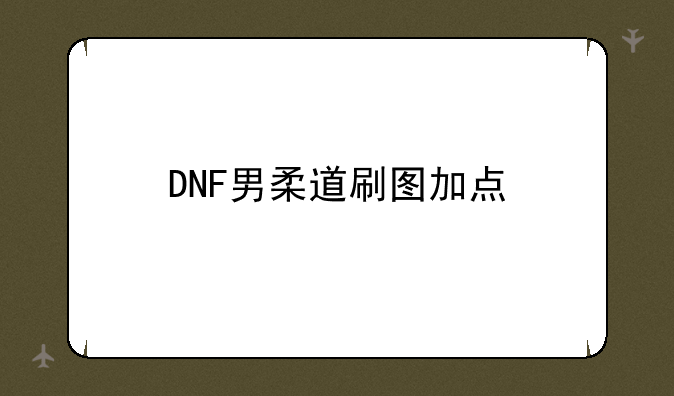DNF男柔道刷图加点