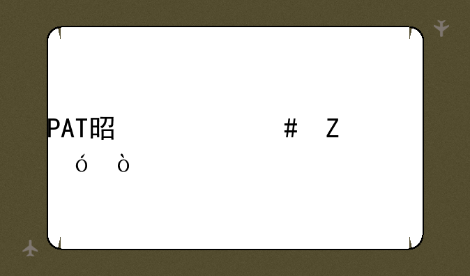 PAT是什么文件格式