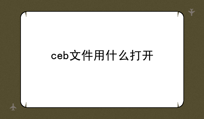 ceb文件用什么打开