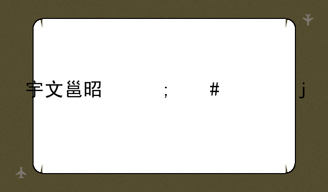 宇文邕是怎么死的