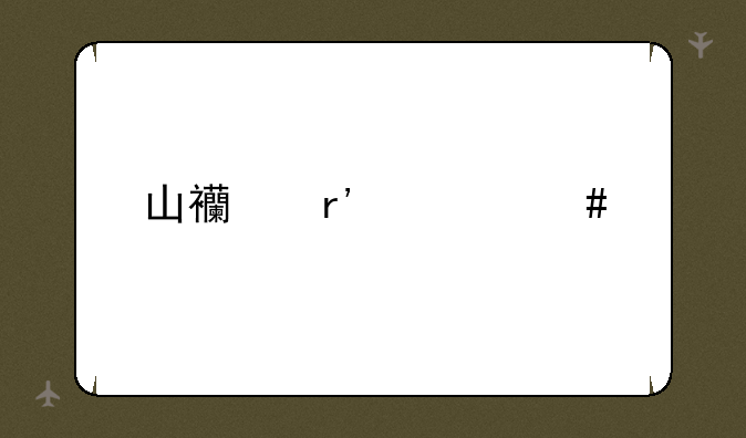 山西有什么特产？