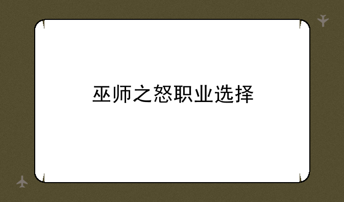 巫师之怒职业选择