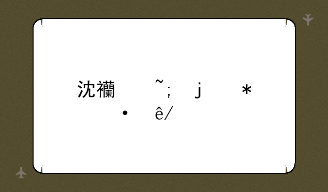 沈西城的抄袭事件