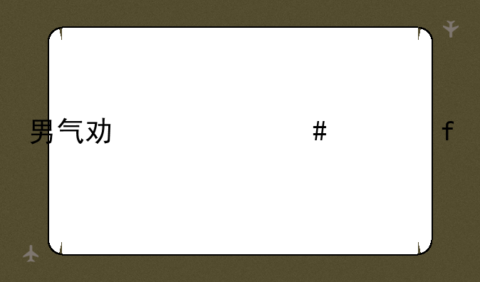 男气功带什么武器