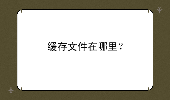 缓存文件在哪里？