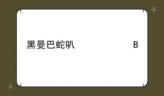 黑曼巴蛇可以养吗