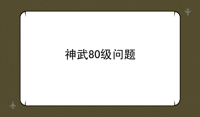 神武80级问题