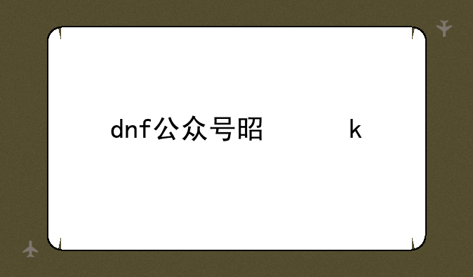 dnf公众号是多少