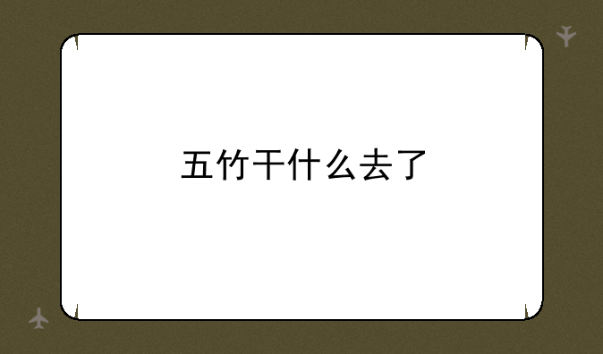 五竹干什么去了
