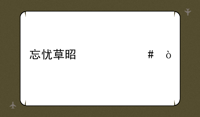 忘忧草是什么？