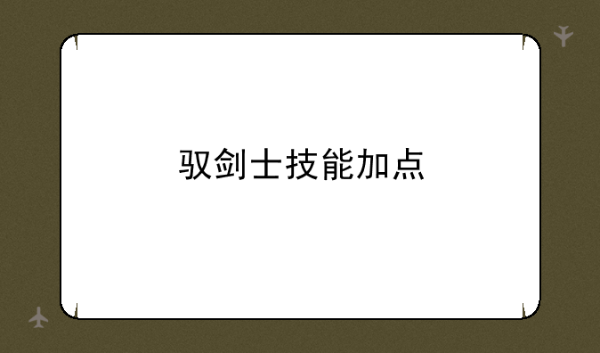 驭剑士技能加点