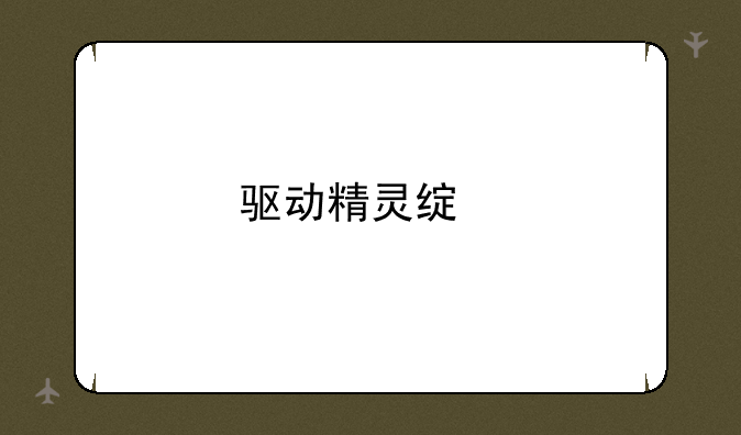 驱动精灵绿色版