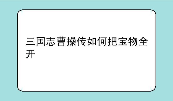 三国志曹操传如何把宝物全开