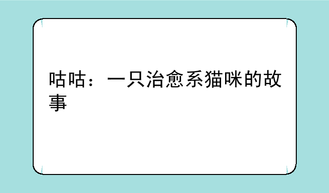 咕咕：一只治愈系猫咪的故事