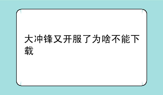 大冲锋又开服了为啥不能下载