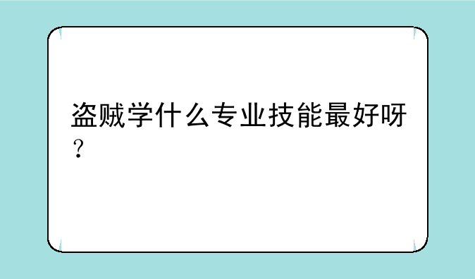 盗贼学什么专业技能最好呀？